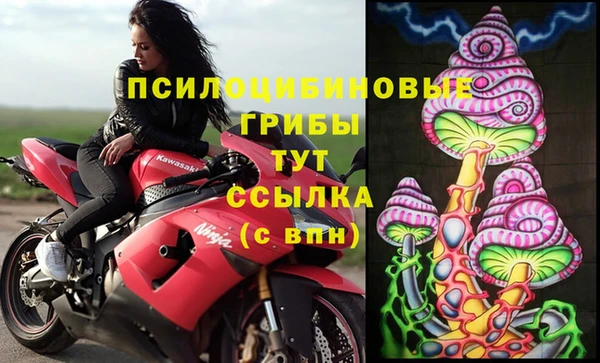 молекула духа Осташков