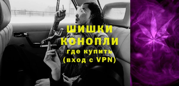 молекула духа Осташков