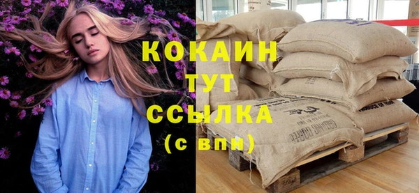 молекула духа Осташков