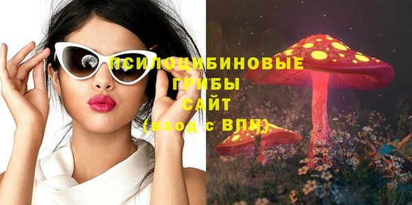 молекула духа Осташков
