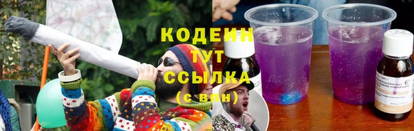 молекула духа Осташков