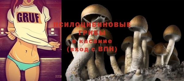 прущий лед Абаза