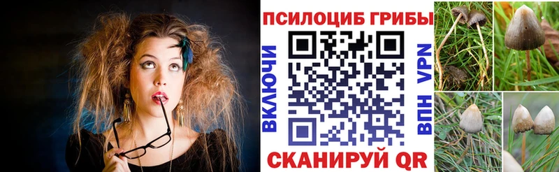 Псилоцибиновые грибы Cubensis купить закладку Тетюши